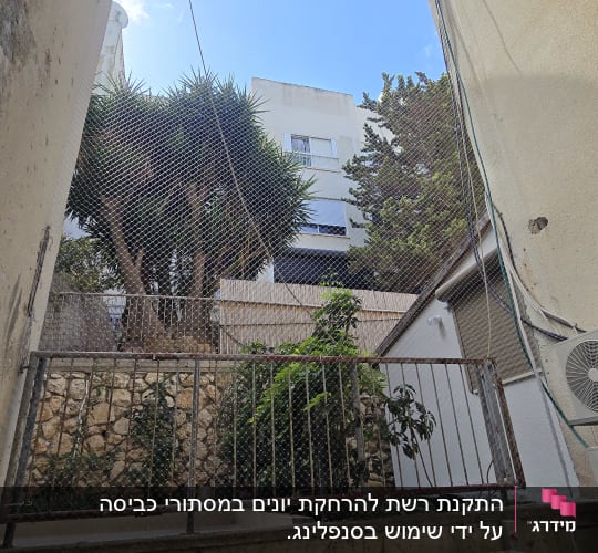 רשת למניעת כניסת יונים מותקנת בחצר בניין